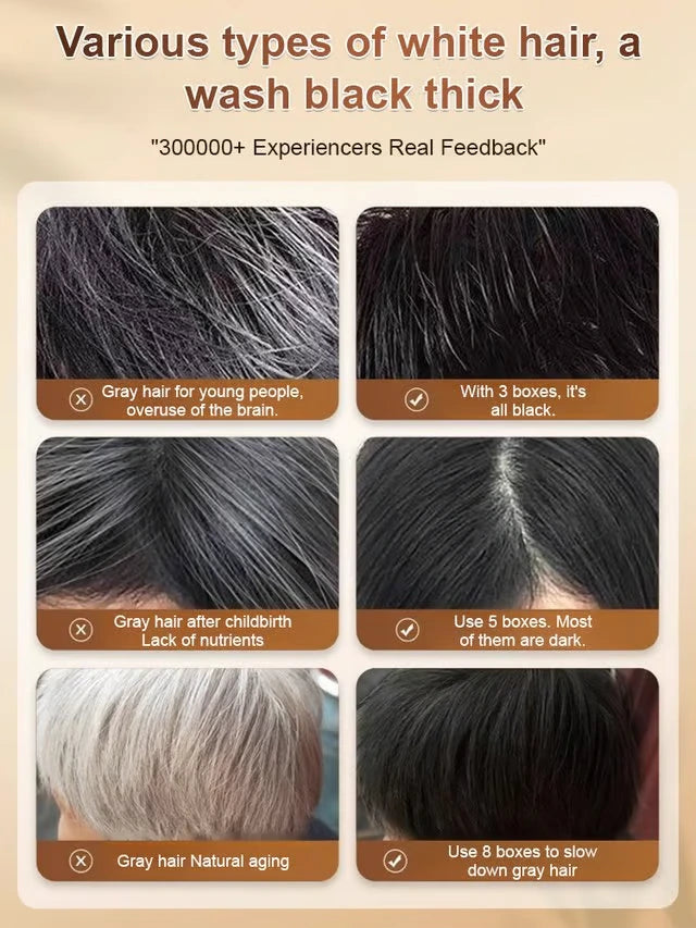 ( White to Black ) Ginseng and Polygonatum odoratum Hair Care Shampoo