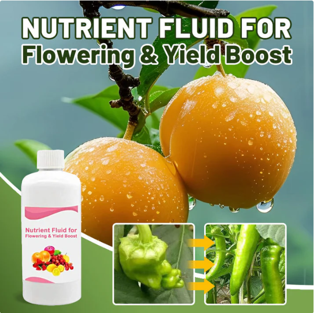 Nutrient Fluid for Flowering & Yield Boost (BUY 1 GET 1 FREE)
