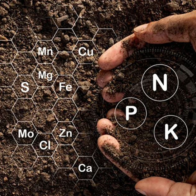 Nutrient Fluid for Flowering & Yield Boost (BUY 1 GET 1 FREE)
