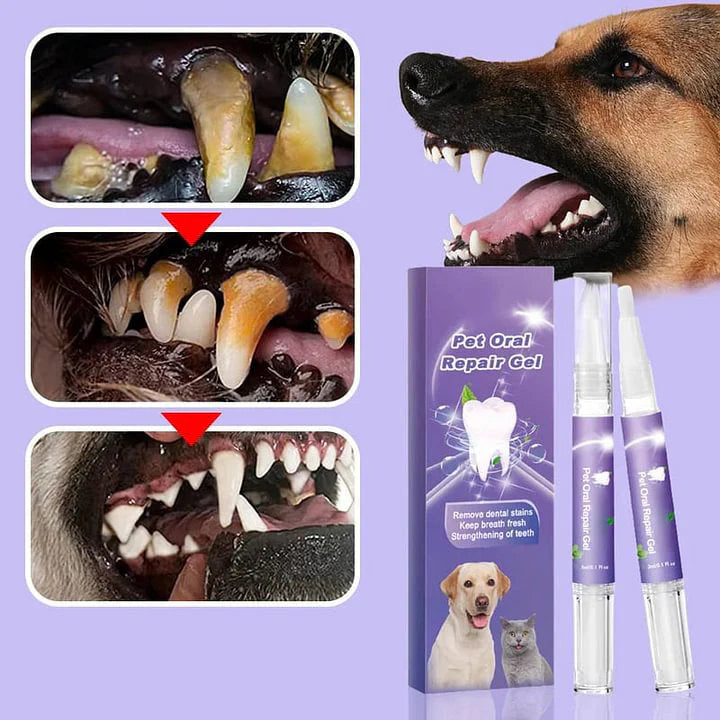 Pet Oral Repair Gel (BUY 1 GET 1 FREE)