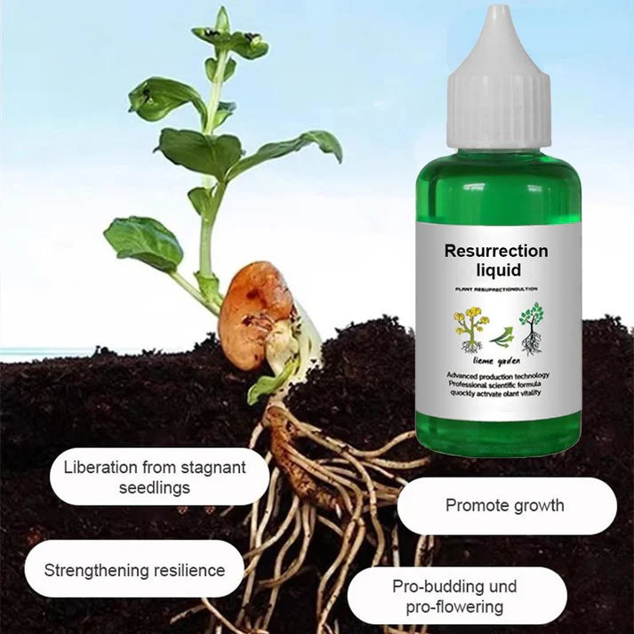 Plant and Flower Activation Liquid Solution (BUY 1 GET 1 FREE)