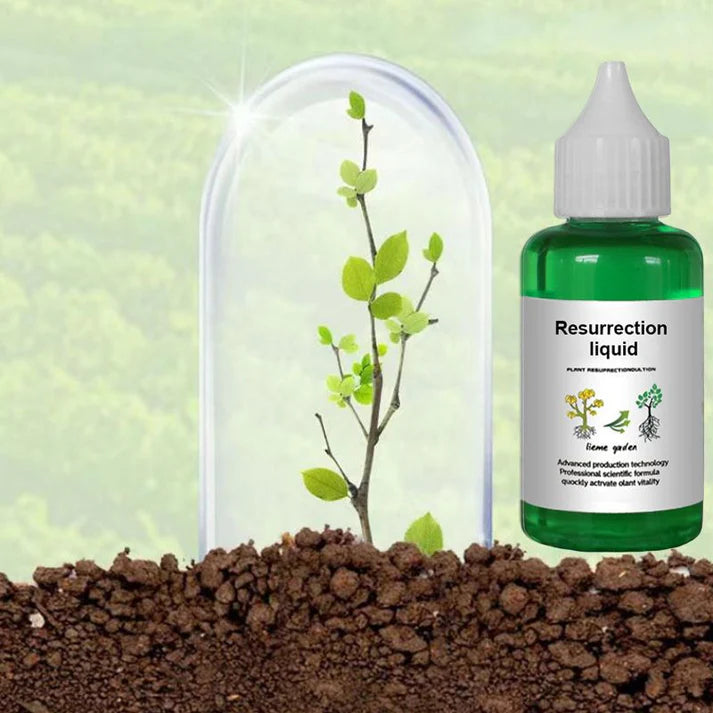 Plant and Flower Activation Liquid Solution (BUY 1 GET 1 FREE)