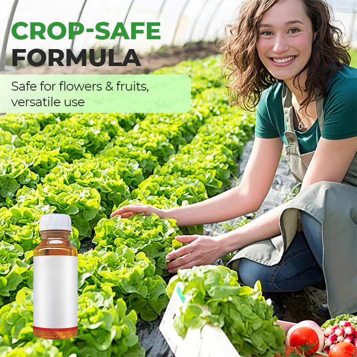 Powerful And Long-Lasting Insecticide For Crops (BUY 1 GET 1 FREE)