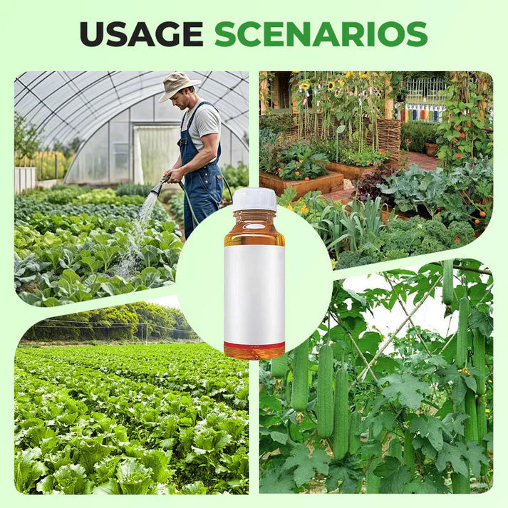 Powerful And Long-Lasting Insecticide For Crops (BUY 1 GET 1 FREE)